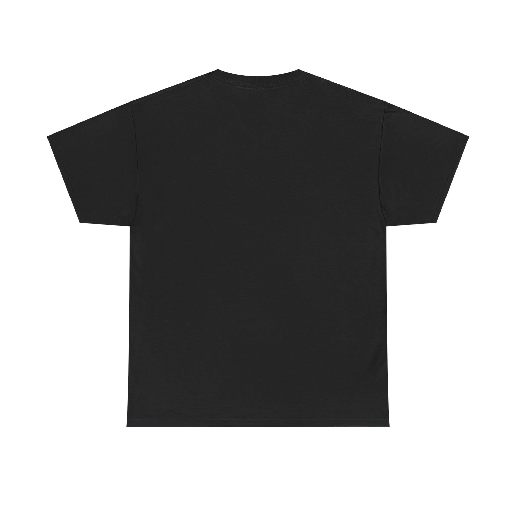 Spider Unisex Heavy Cotton Tee